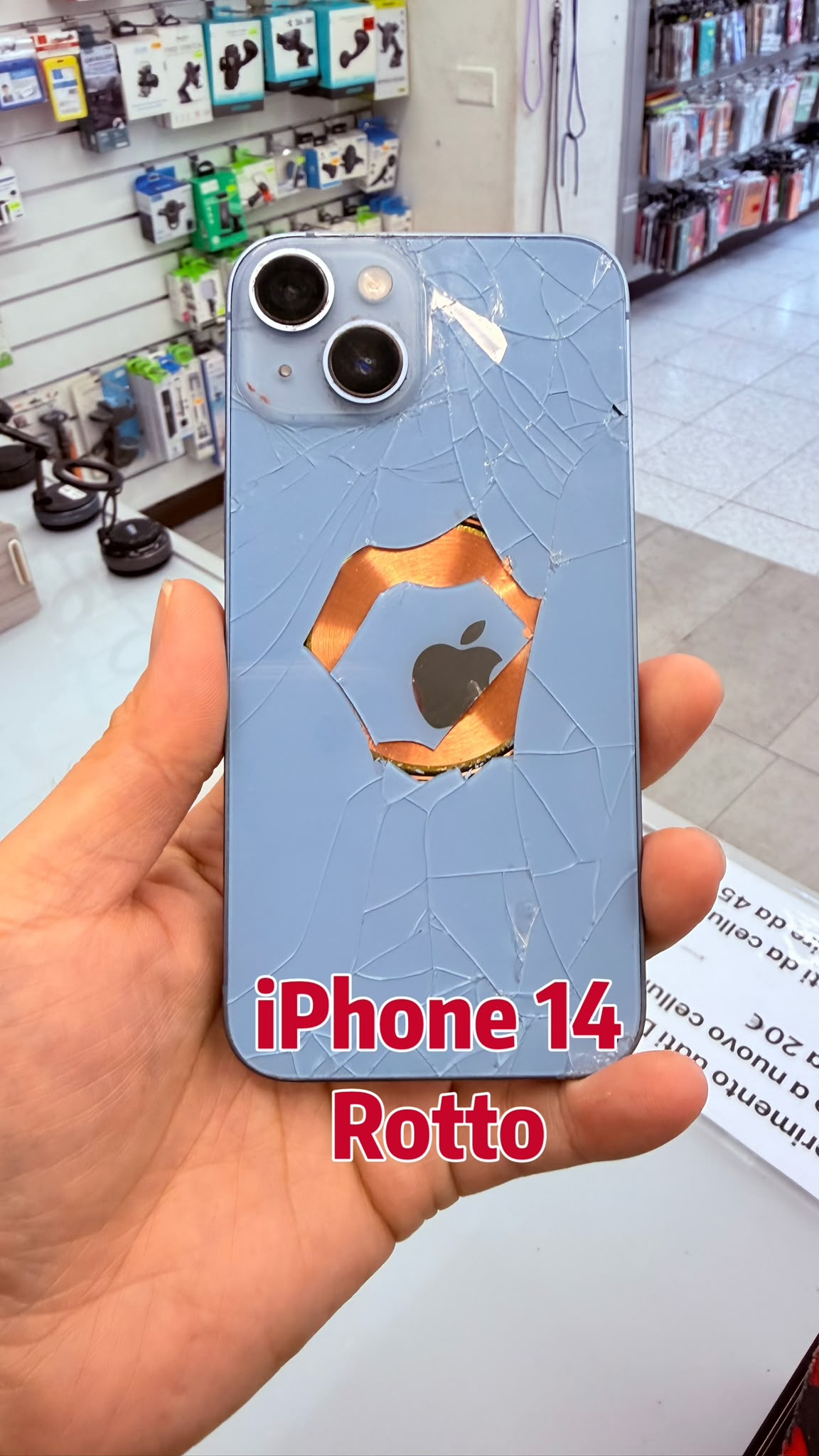 Rotto 2